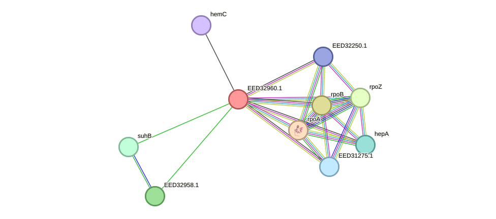 STRING protein interaction network