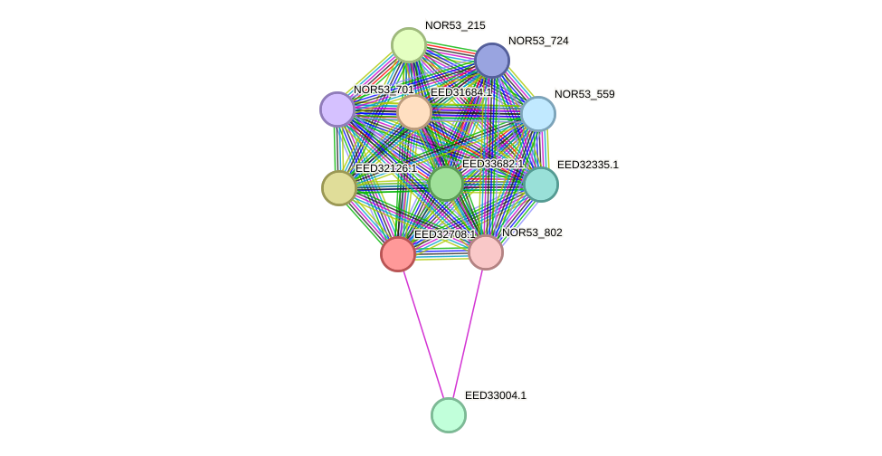 STRING protein interaction network