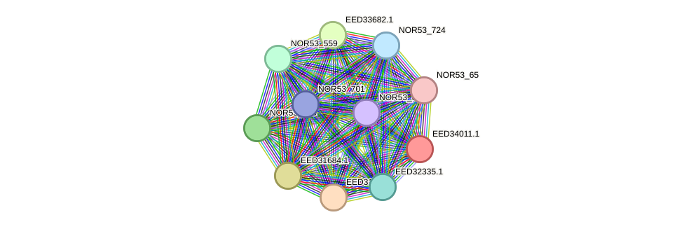 STRING protein interaction network