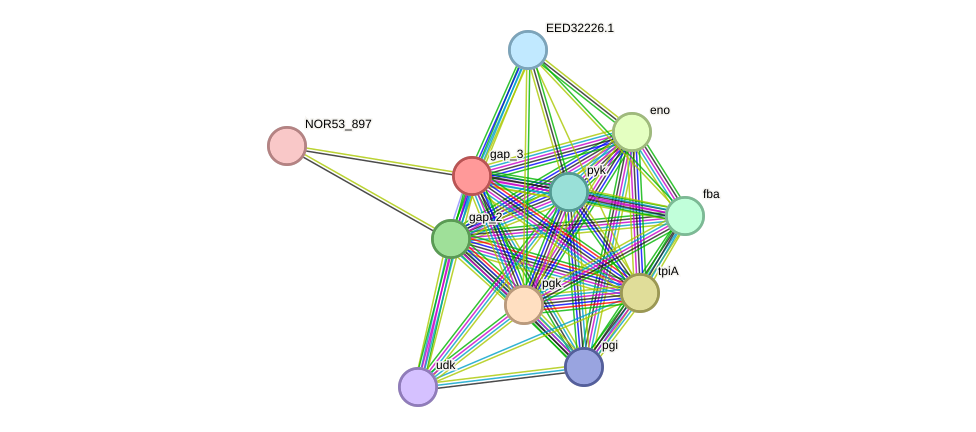 STRING protein interaction network