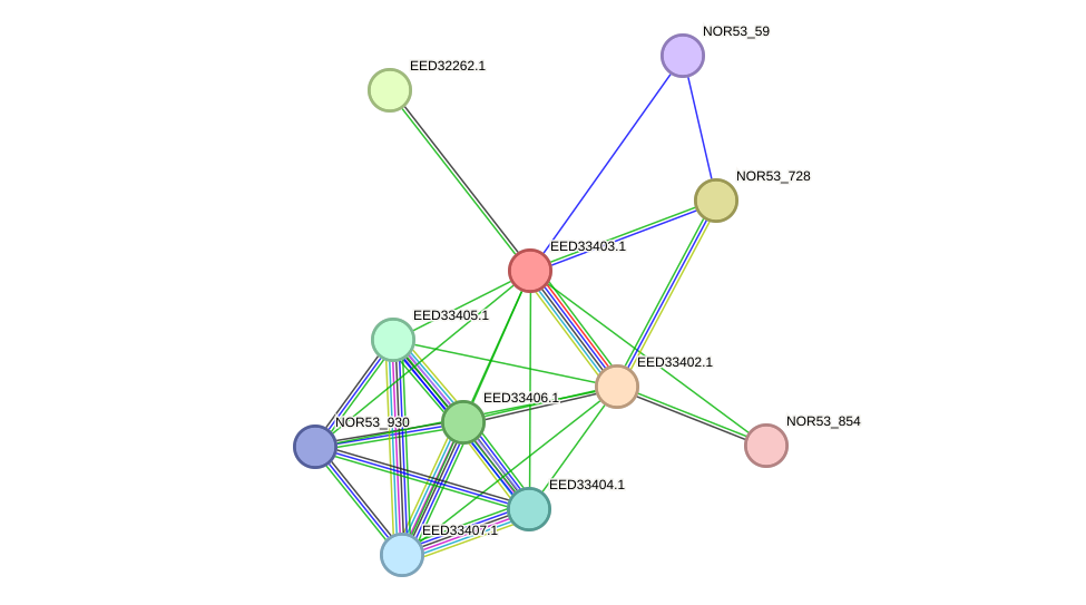 STRING protein interaction network