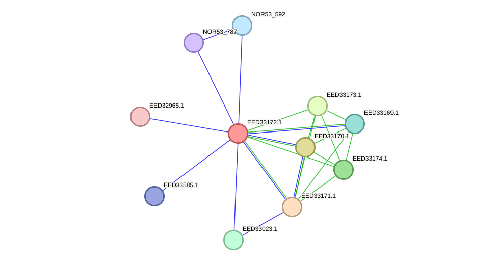 STRING protein interaction network