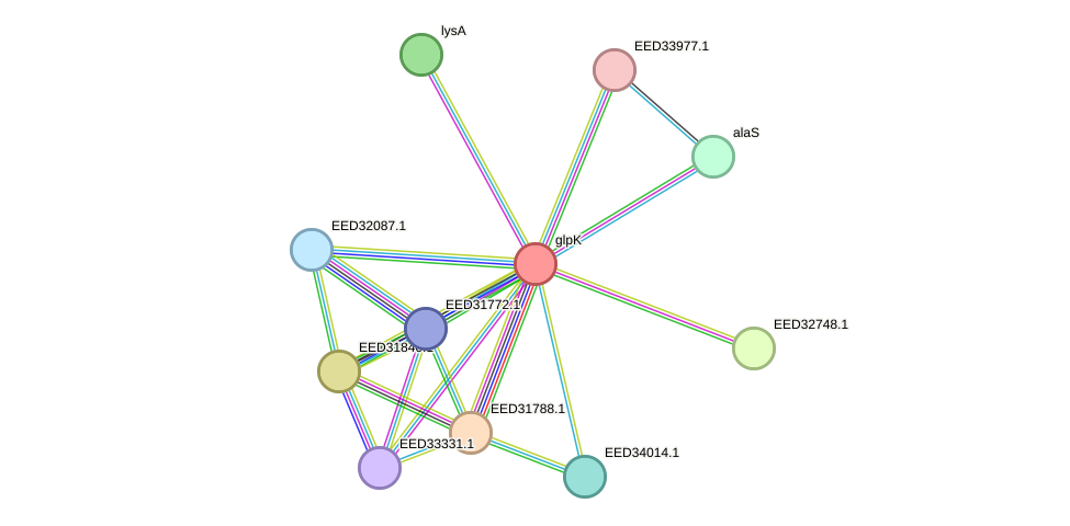 STRING protein interaction network