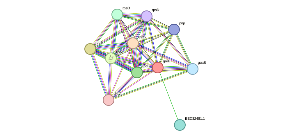 STRING protein interaction network