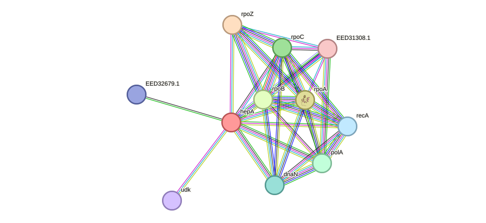 STRING protein interaction network