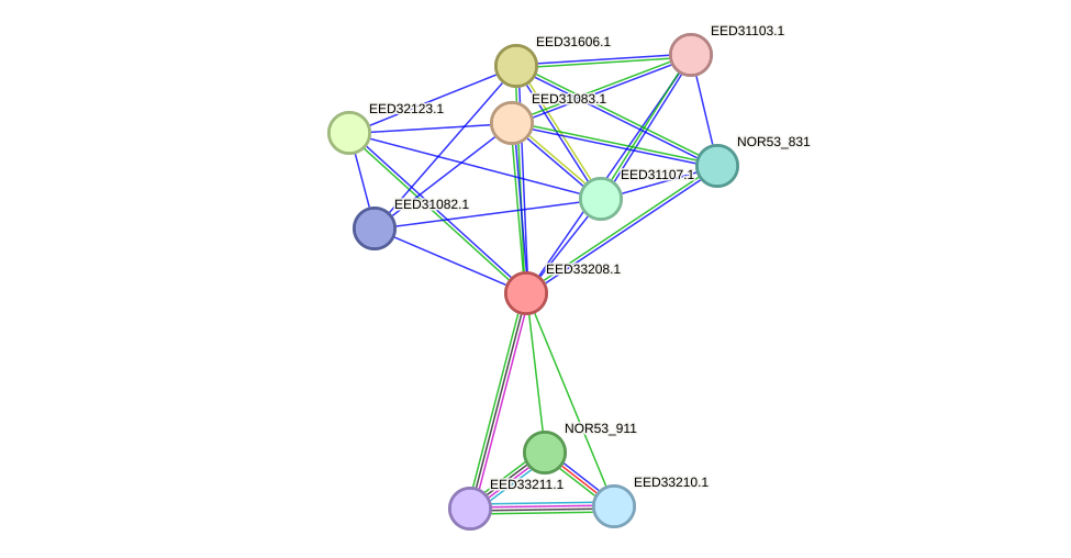 STRING protein interaction network