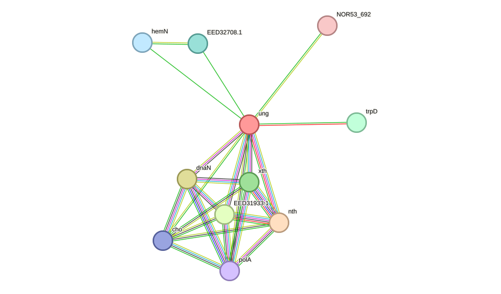 STRING protein interaction network