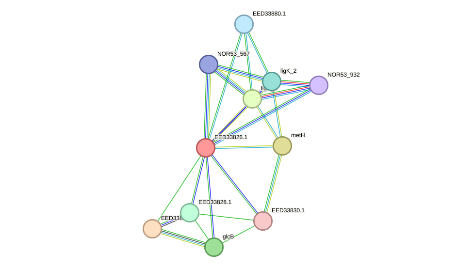 STRING protein interaction network