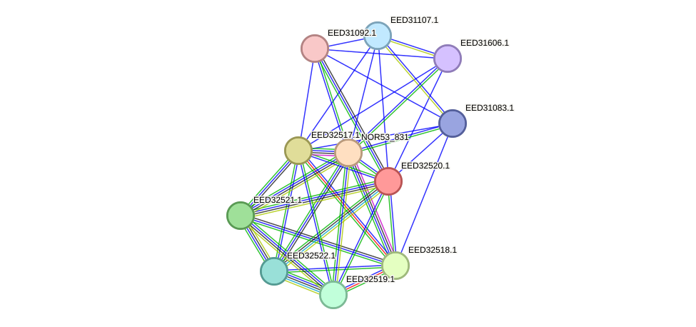 STRING protein interaction network