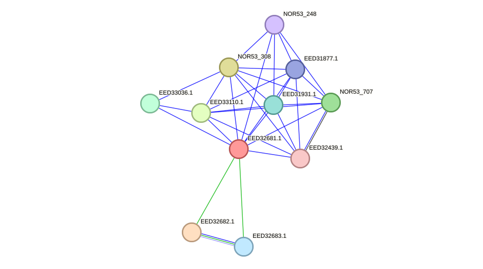 STRING protein interaction network