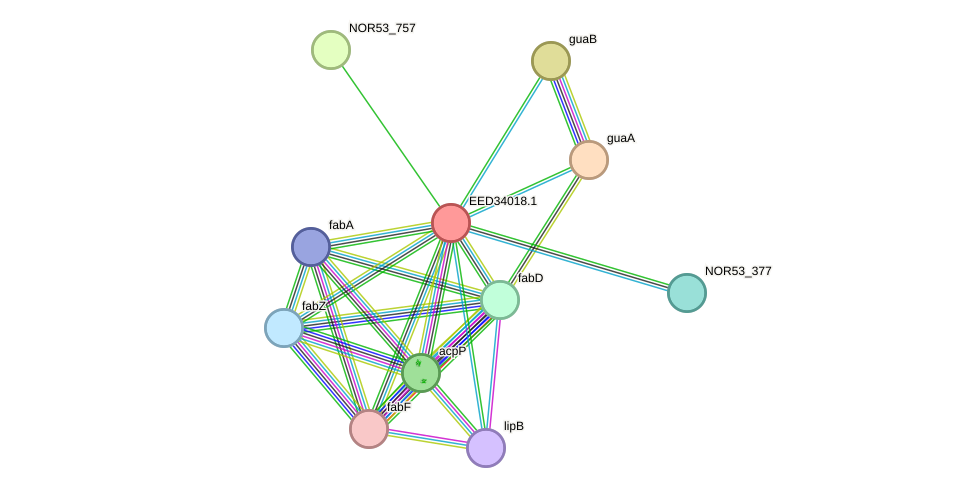 STRING protein interaction network