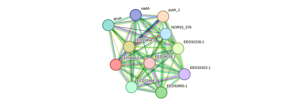 STRING protein interaction network