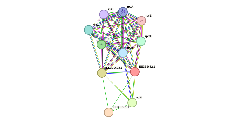 STRING protein interaction network