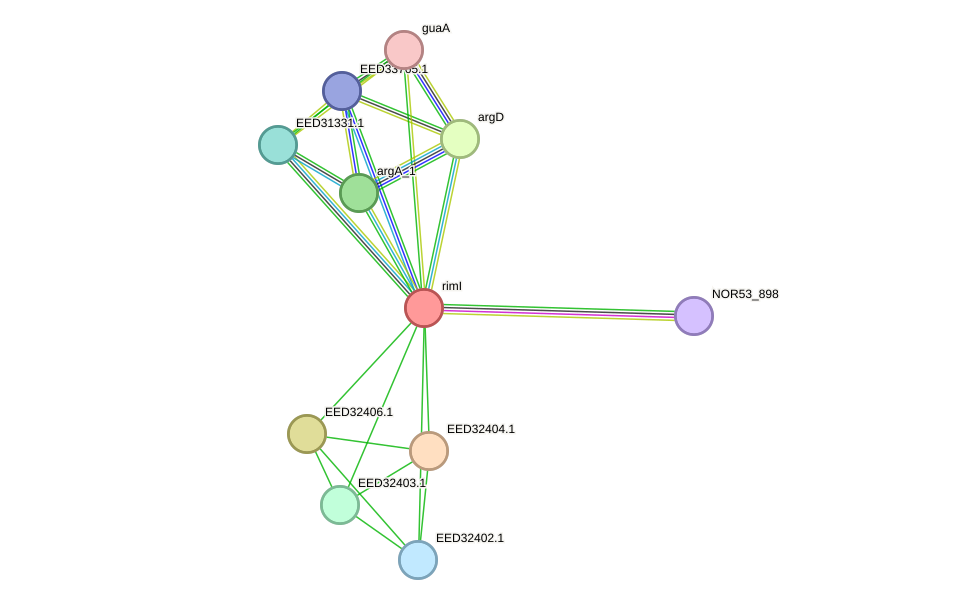 STRING protein interaction network