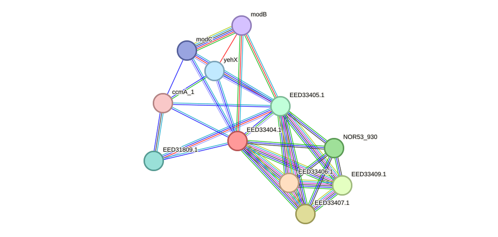 STRING protein interaction network