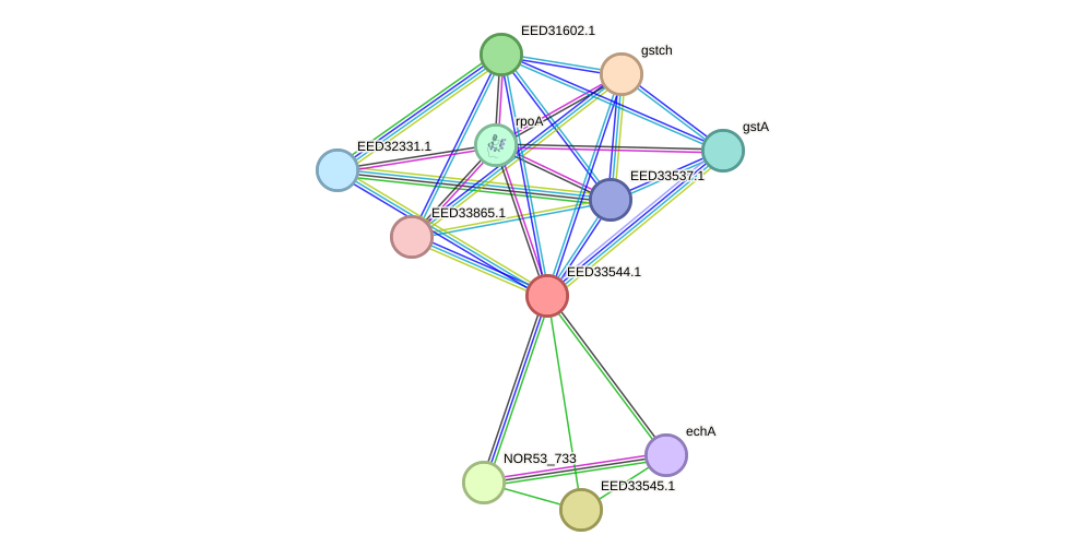 STRING protein interaction network