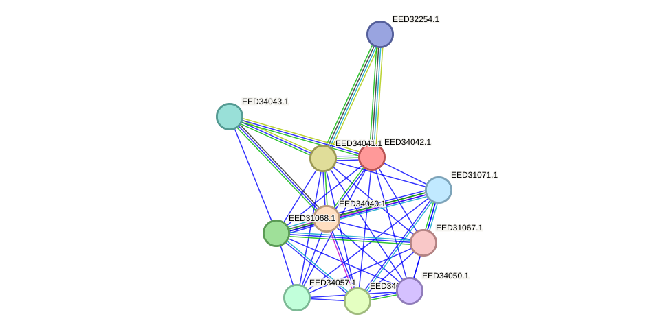 STRING protein interaction network