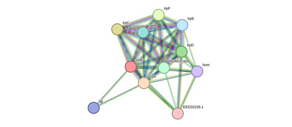 STRING protein interaction network