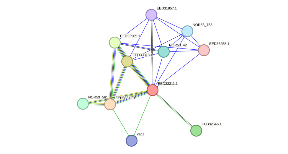STRING protein interaction network