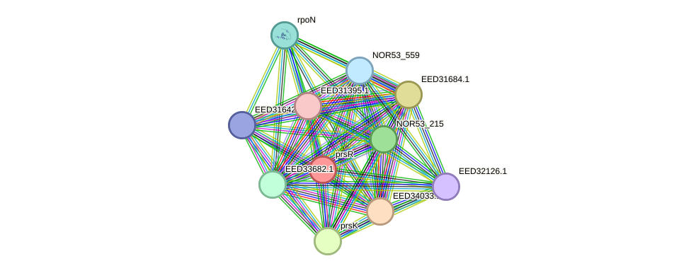 STRING protein interaction network