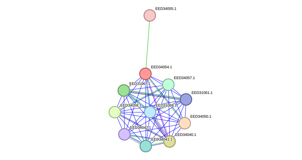 STRING protein interaction network