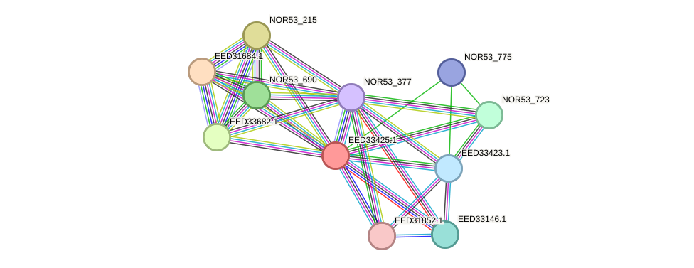 STRING protein interaction network
