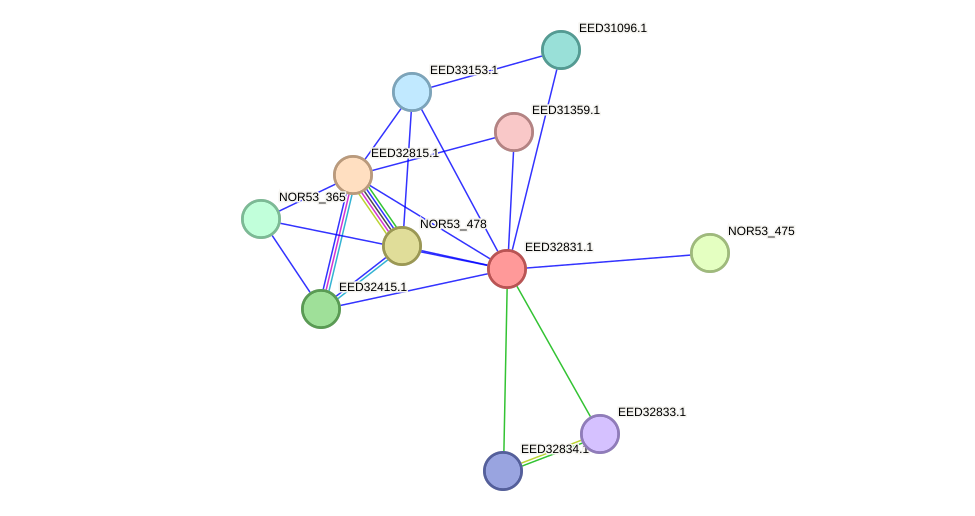 STRING protein interaction network