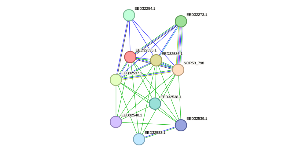 STRING protein interaction network
