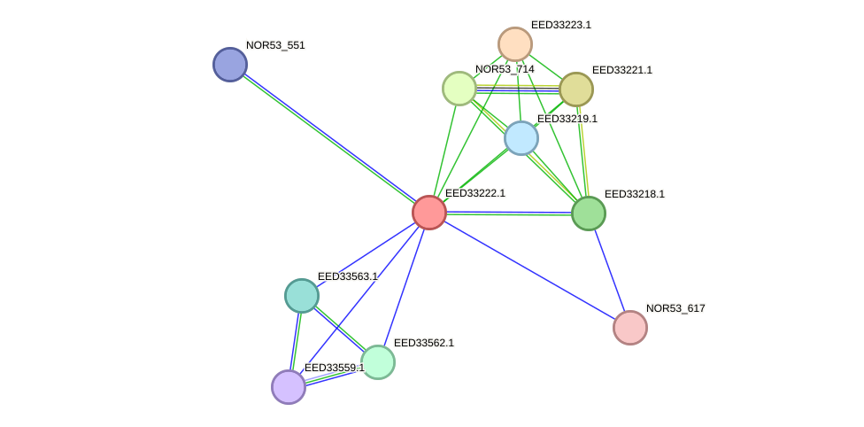 STRING protein interaction network