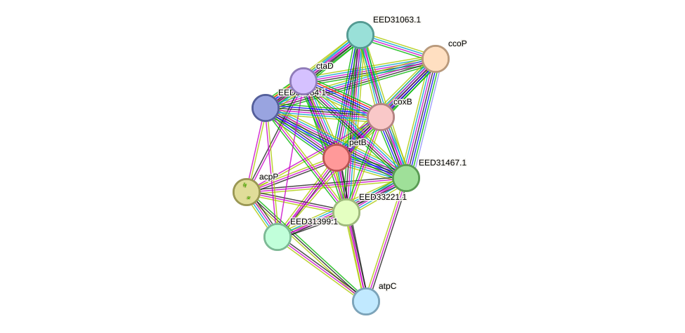 STRING protein interaction network