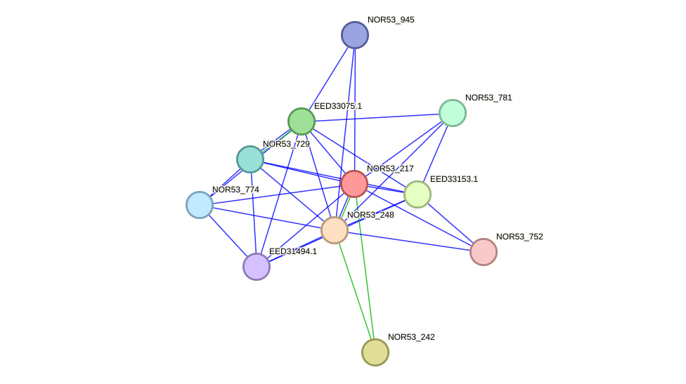 STRING protein interaction network
