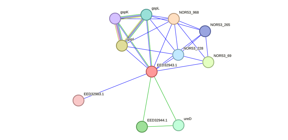 STRING protein interaction network