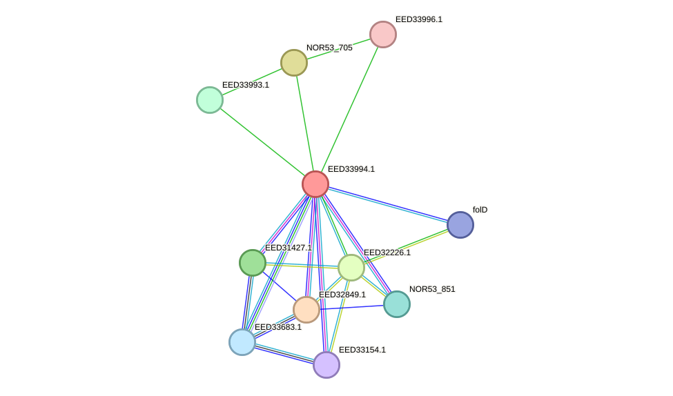 STRING protein interaction network
