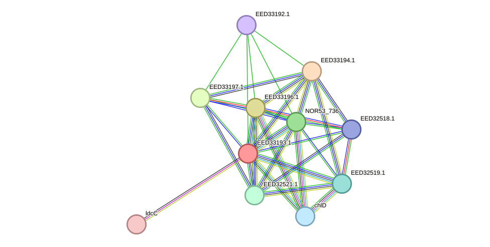 STRING protein interaction network
