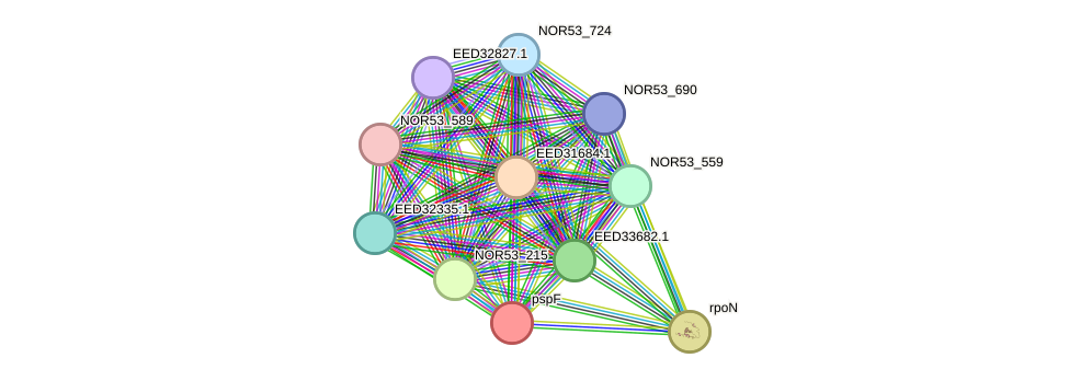 STRING protein interaction network