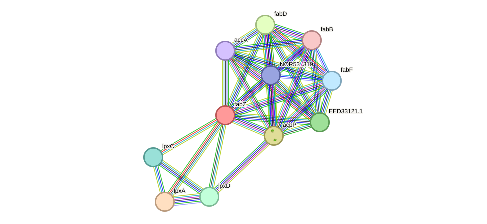 STRING protein interaction network
