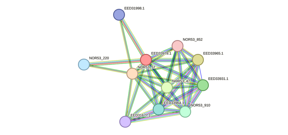 STRING protein interaction network