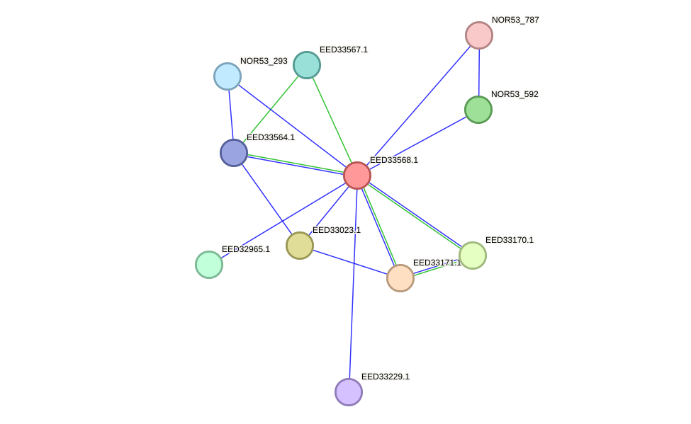 STRING protein interaction network