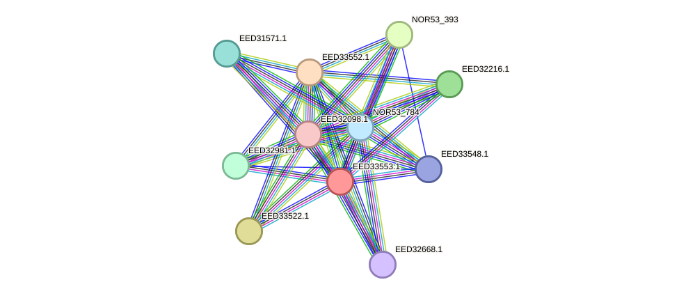 STRING protein interaction network