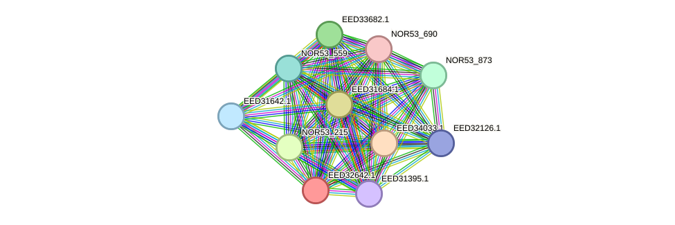STRING protein interaction network