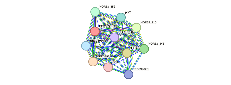 STRING protein interaction network