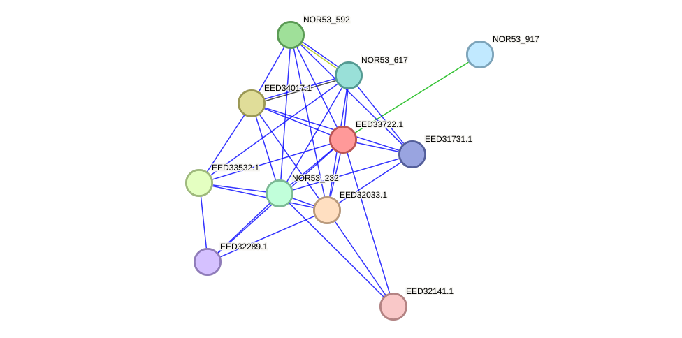 STRING protein interaction network