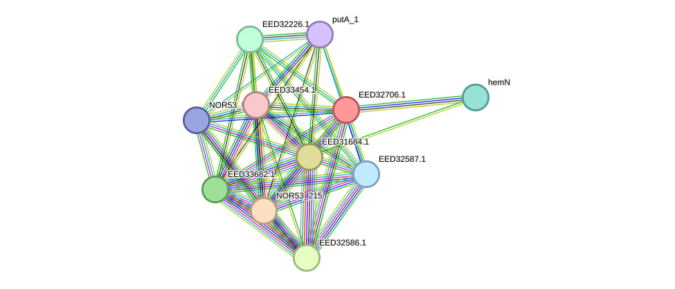STRING protein interaction network