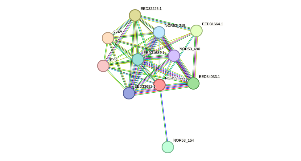 STRING protein interaction network