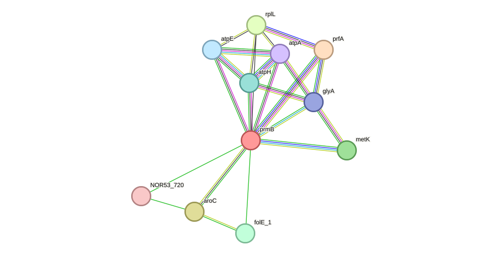 STRING protein interaction network