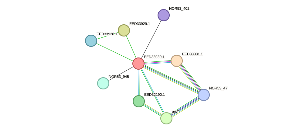STRING protein interaction network
