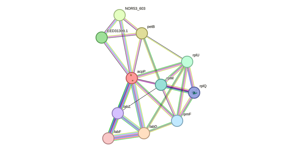 STRING protein interaction network