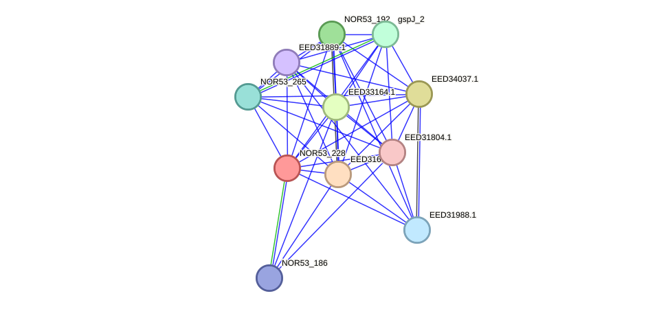 STRING protein interaction network