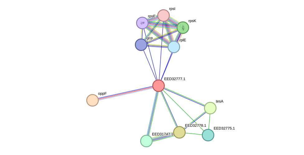 STRING protein interaction network