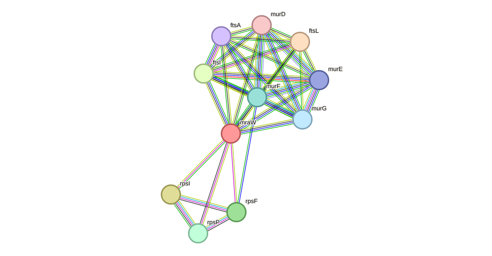 STRING protein interaction network